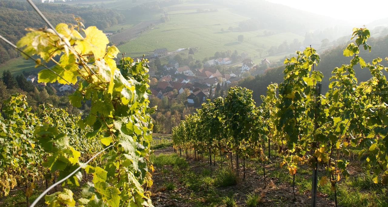 Weingut Hees - Landgasthof Zum Jaeger Aus Kurpfalz Auen Luaran gambar