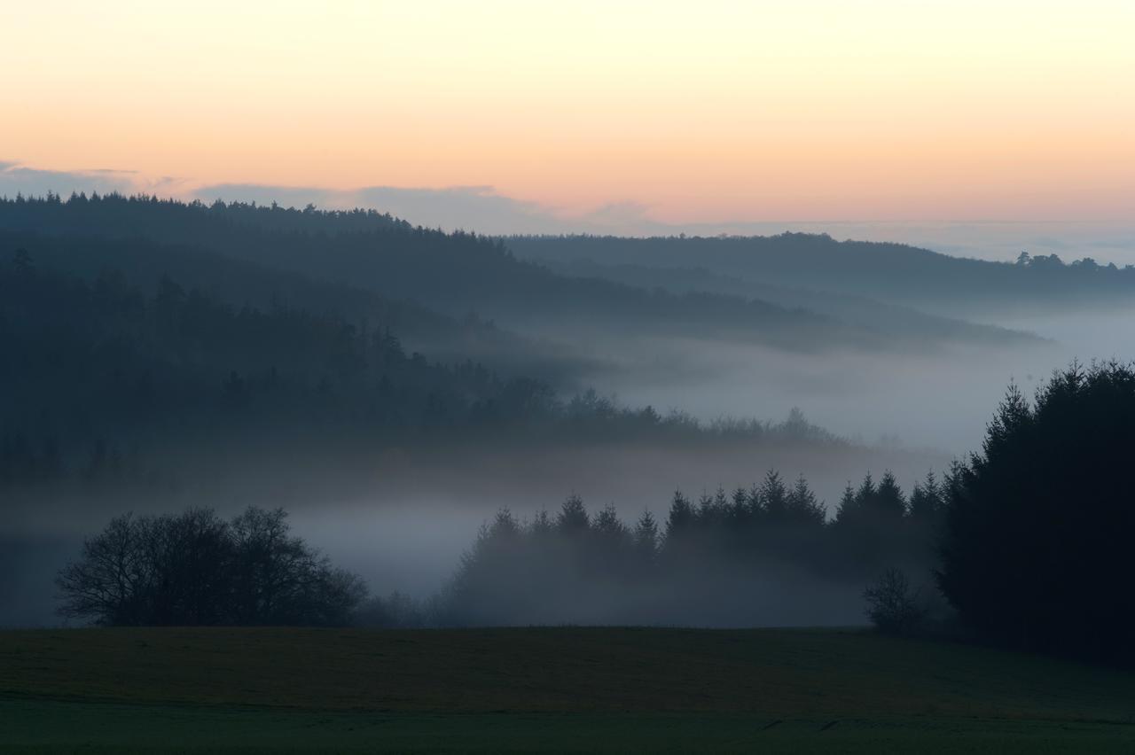 Weingut Hees - Landgasthof Zum Jaeger Aus Kurpfalz Auen Luaran gambar