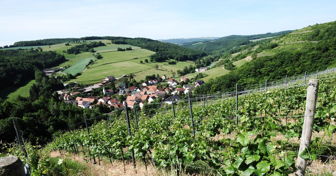 Weingut Hees - Landgasthof Zum Jaeger Aus Kurpfalz Auen Luaran gambar