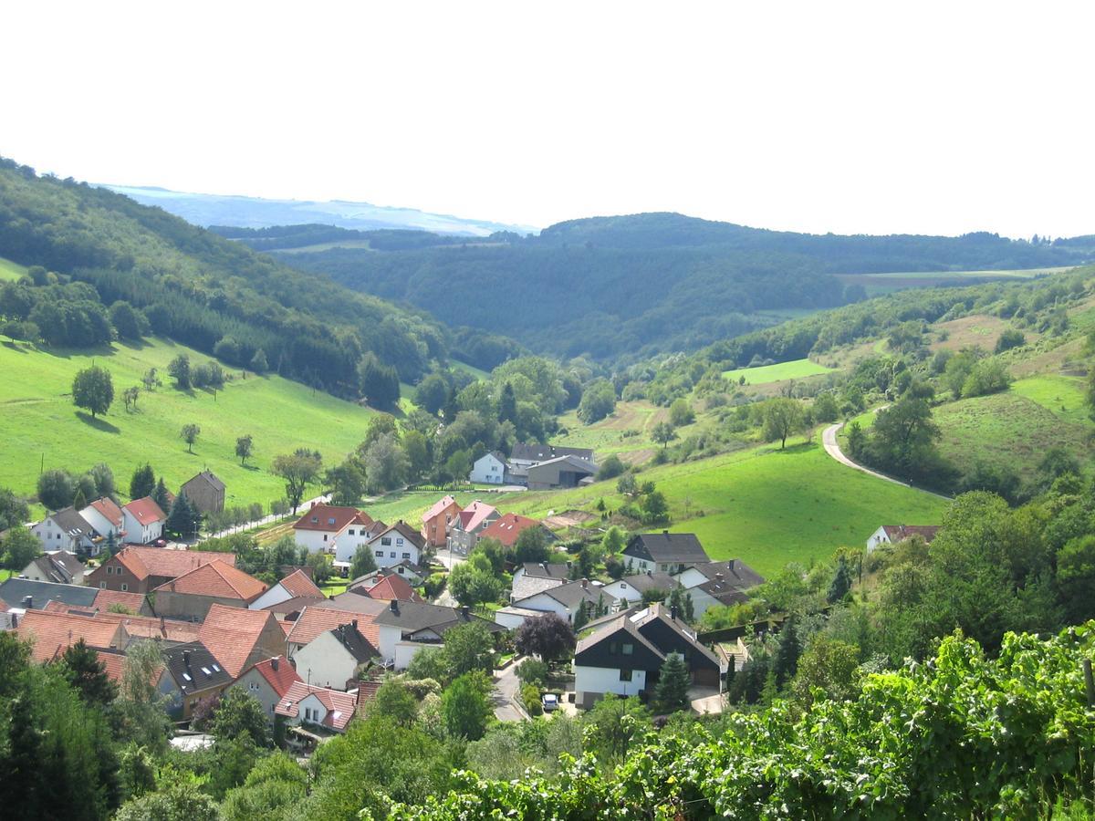 Weingut Hees - Landgasthof Zum Jaeger Aus Kurpfalz Auen Luaran gambar